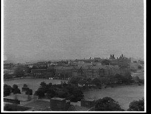 Looking north across Sydney University from Prince Alfr...