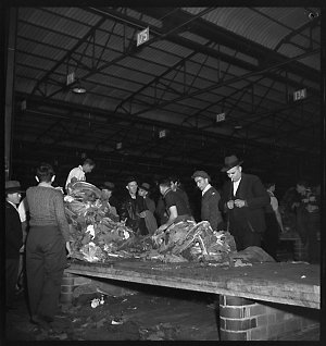 File 06: [Various Paddy's Markets, 1930s-1951] / photog...