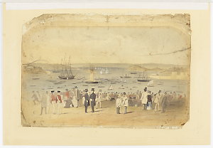 Regatta. Sydney Harbour / Joseph Fowles
