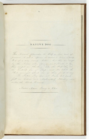 Select Specimens / From Nature / of the / Birds Animals &c &c / of / New South Wales / Collected and Arranged / by / Thomas Skottowe Esqr. / The Drawings By T.R. Browne. N.S.W. / Newcastle / New South Wales / 1813