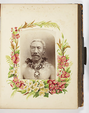 Album of photographs, ca. 1880's / in David Scott Mitch...