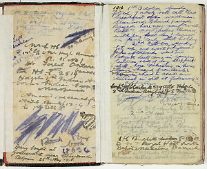 Clarke diary, 1916-1917 / William Owen Clarke