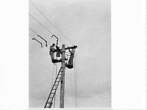 Electricians working on top of a telegraph pole, Prospe...
