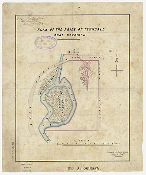 Plan of the "Pride of Ferndale" coal workings [cartogra...