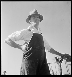 File 18: Portraits from Bankstown [ca 1942-1943] / phot...