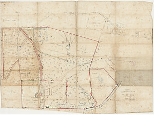 [Canterbury subdivision plans] [cartographic material]