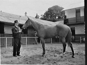 Racehorses, Randwick