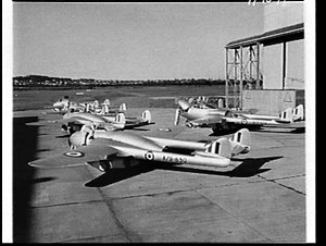 De Havilland Vampire jets of 79 Squadron on the tarmac