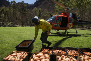 Item 17: Adam Taylor, the co-pilot on the Squirrel heli...