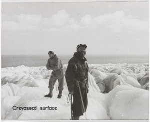 Series 186: Australia in the Antarctic