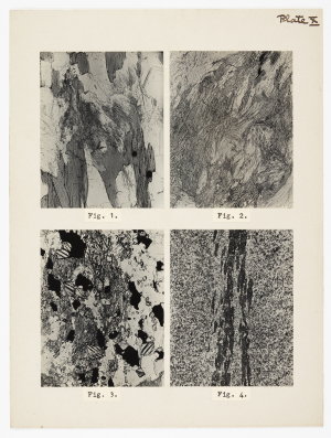 Item 1493a: Schists and gneisses from the moraines, Cap...