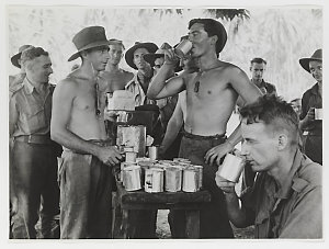 [New Guinea : military support services (food cultivati...