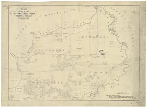 Plan of part of Gulgong gold field, County of Phillip [...
