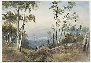 Sketches in New South Wales and Victoria, 1855-1882 / b...