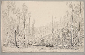 Item 02: The Dandenong Ranges, 1855-1858 / Eugene von G...