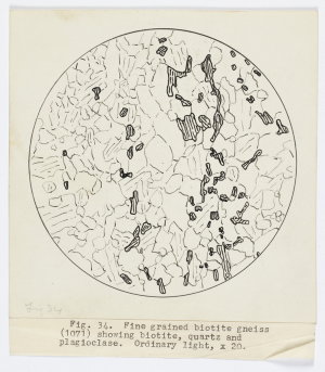 Item 0866: Petrology of rocks from Queen Mary Land. Fin...