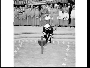 War Widows Guild Field of Crosses Appeal for Anzac Day ...