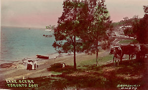 [Toronto, N.S.W.]