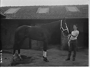 T.J. Smith racehorses, Randwick (?)