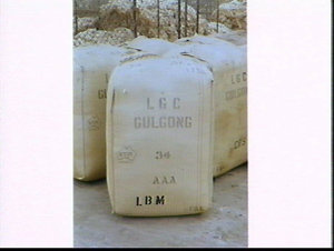 Bales of LGC Gulgong wool in a woolstore, Yennora (?)