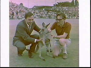 Actor Ed Devereaux and Skippy the kangaroo from the tel...