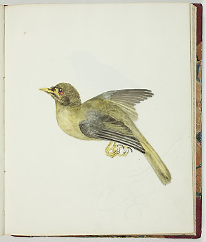 Item 5: Sketchbook of miscellaneous drawings, ca. 1855-...