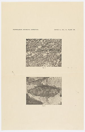 Item 0875: Certain epidoptic rocks from the moraines, C...