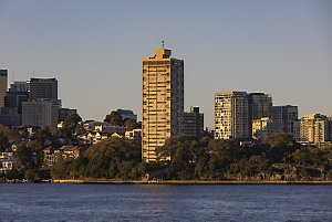 Item 012: Views across Sydney Harbour to Blues Point fr...