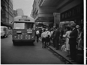AEC 339 bus to Clovelly, Woolworths, 188 Pitt Street, S...