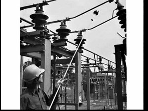 Using an electric field detector on power lines at the ...