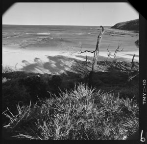 File 08: South of Toowoon Bay, beach/scape, sea/scape, ...
