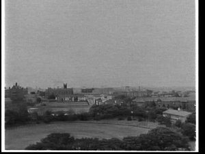 Looking north-east across Sydney University from Prince...