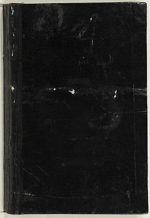 Baker diary, 1918-1919 / Charles Albert Baker