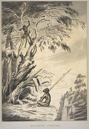 Sketches in Australia, ca. 1851-60? / G. Lacy