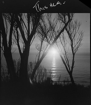 File 36: Sunrise Bungan '64, 1939 / photographed by Max...