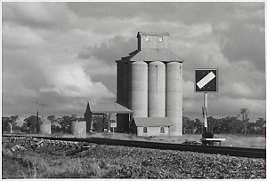 Collection 06: Wheat silos in south western New South W...