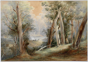 Log fall on the Macquarie River, ca. 1859 / C. Martens