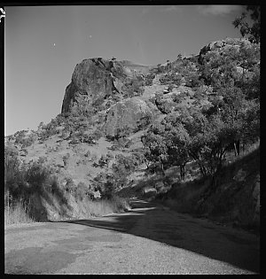 File 05: Cairns, Ingham, 1940s / photographed by Max Du...