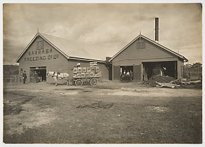 Freezing Works, New South Wales, ca. 1890