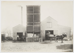 Freezing Works, New South Wales, ca. 1890