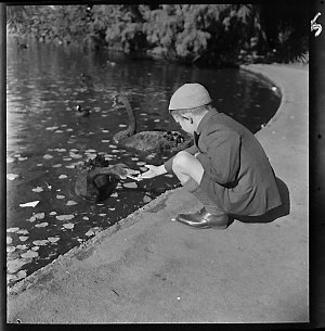 File 06: Melbourne, little boy with swans, 1946 / photo...