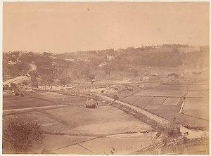 [Double Bay, N.S.W. : view of market gardens and New So...
