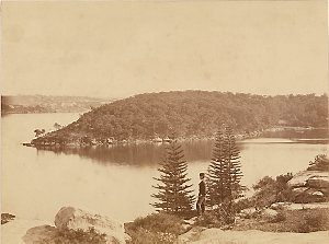 [Berrys Bay and Balls Head, N.S.W. / attributed to J. P...