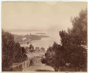 [Rose Bay, Point Piper and Woollahra Point, Sydney Harb...