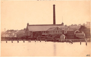 J. Booth and Co., timber merchants, Balmain Steam Saw M...