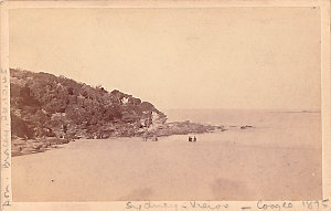 Coogee Bay, nr. Sydney, N.S.W., 1875 / J. Bischoff, Lan...
