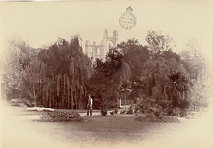 [Botanic Gardens, Sydney, ca. 1882]