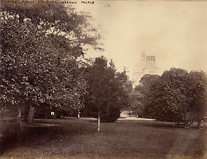 Botanic Gardens [Sydney / attributed to the New South W...