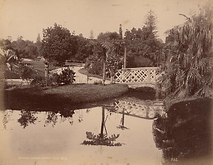 Botanic Gardens, Sydney, N.S.W. [rustic bridge over Bot...