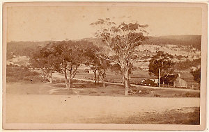 At Darling Point / Chaffer, Photo.